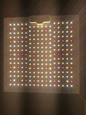 GoldenBuds 100W LED Quantum Board Grow Light